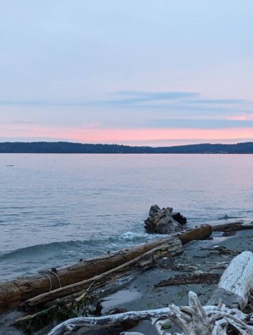 PXL_20240823_030700808 2 | Source Yoga