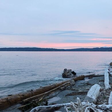 PXL_20240823_030700808 2 | Source Yoga